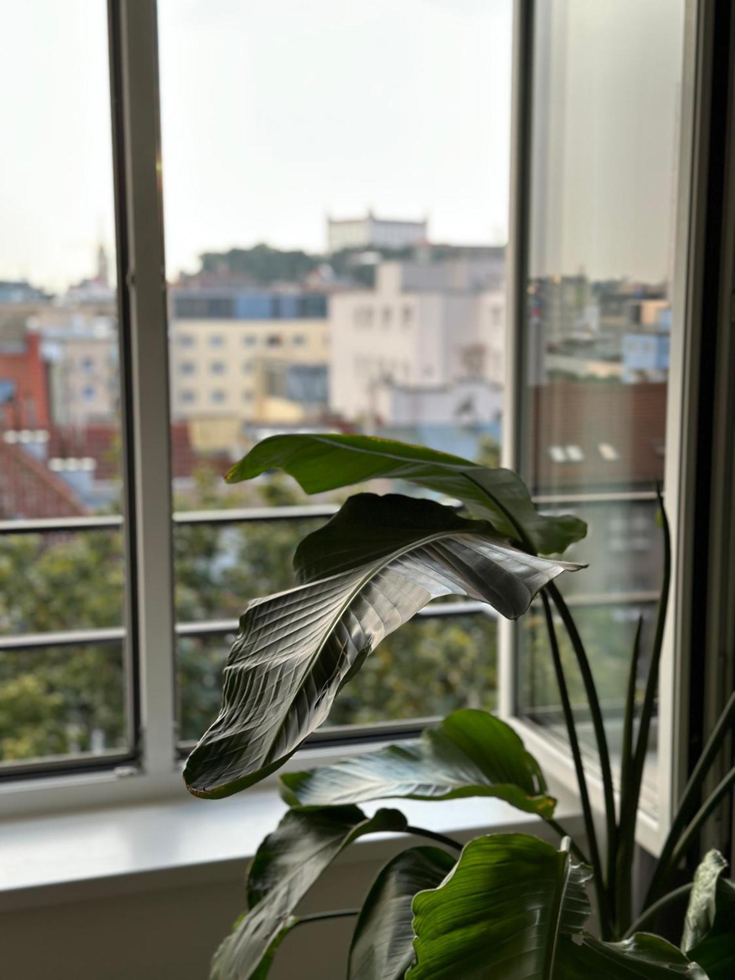 Urban Zenhouse No.2 - Breakfast Included Apartment Bratislava Exterior photo